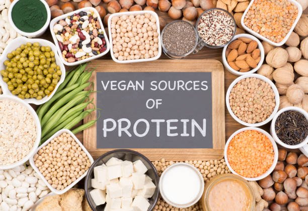 high protein vegetarian foods India